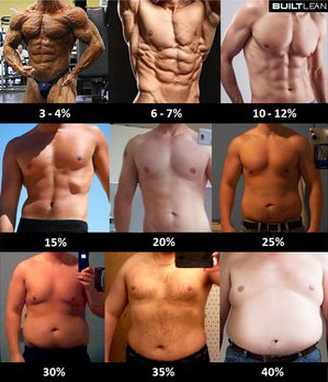 body-fat-samples-images