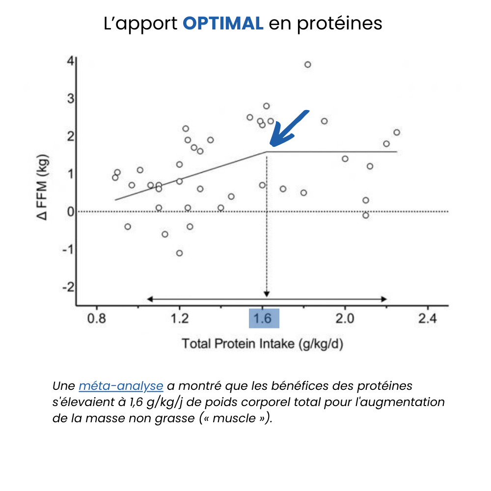 Une méta-analyse a montré que les bénéfices des protéines s'élevaient à 1,6 g/kg/j de poids corporel total pour l'augmentation de la masse non grasse (« muscle »).