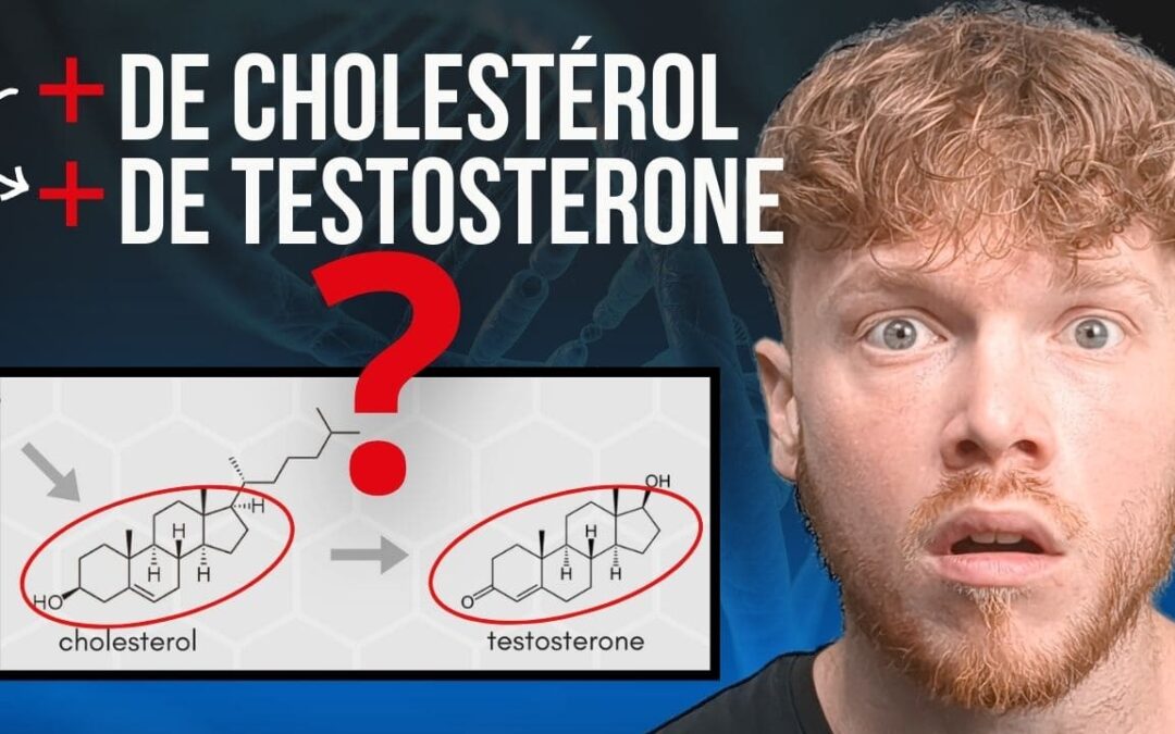 LE MENSONGE DU CHOLESTÉROL : CE QUE ÇA CHANGE POUR TA SANTÉ ET TA PRISE DE MUSCLE