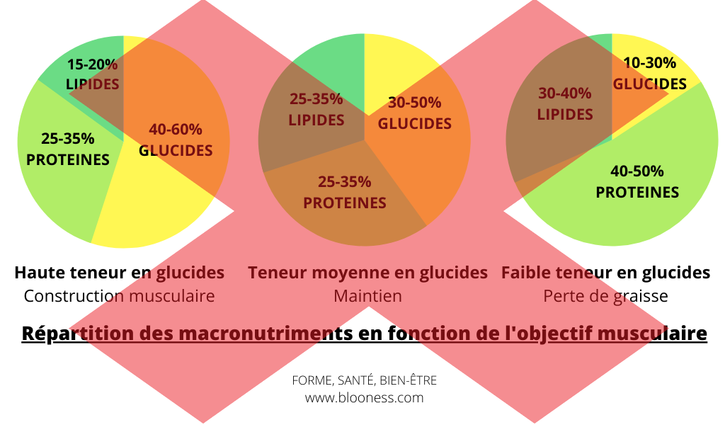Fausse idée #2 : 2. Il existe une répartition idéale des macronutriments