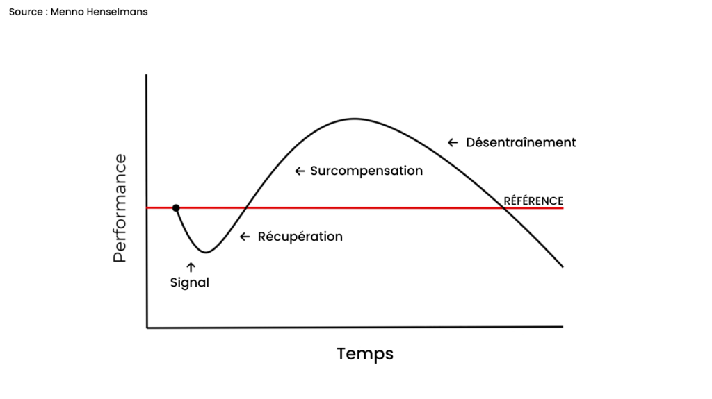 Ce cycle de stress/récupération/surcompensation est l’application concrète de la surcharge progressive, et c'est ce processus qui déclenche la croissance musculaire.